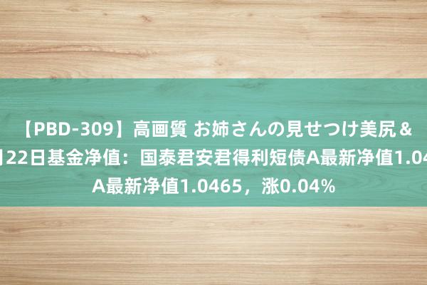 【PBD-309】高画質 お姉さんの見せつけ美尻＆美脚の誘惑 7月22日基金净值：国泰君安君得利短债A最新净值1.0465，涨0.04%