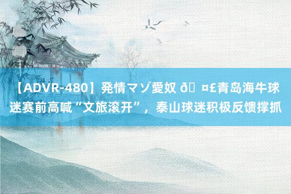【ADVR-480】発情マゾ愛奴 🤣青岛海牛球迷赛前高喊“文旅滚开”，泰山球迷积极反馈撑抓