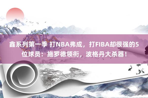 鑫系列第一季 打NBA弗成，打FIBA却很强的5位球员：施罗德领衔，波格丹大杀器！