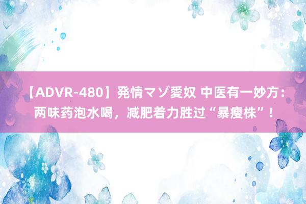 【ADVR-480】発情マゾ愛奴 中医有一妙方：两味药泡水喝，减肥着力胜过“暴瘦株”！