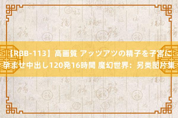 【RBB-113】高画質 アッツアツの精子を子宮に孕ませ中出し120発16時間 魔幻世界：另类图片集