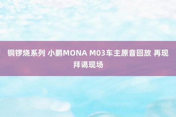 铜锣烧系列 小鹏MONA M03车主原音回放 再现拜谒现场