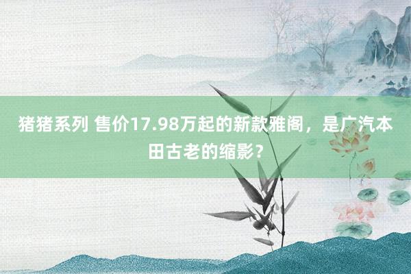 猪猪系列 售价17.98万起的新款雅阁，是广汽本田古老的缩影？