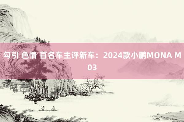 勾引 色情 百名车主评新车：2024款小鹏MONA M03