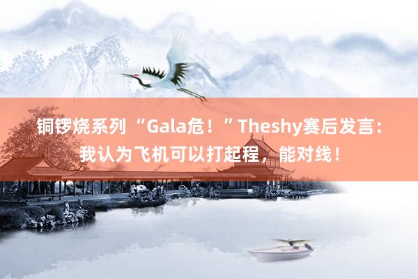 铜锣烧系列 “Gala危！”Theshy赛后发言：我认为飞机可以打起程，能对线！