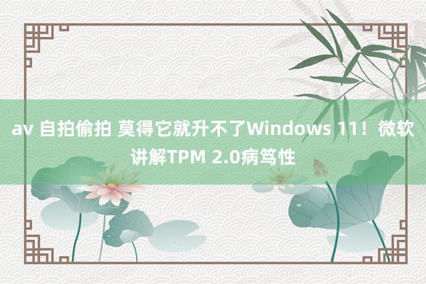 av 自拍偷拍 莫得它就升不了Windows 11！微软讲解TPM 2.0病笃性
