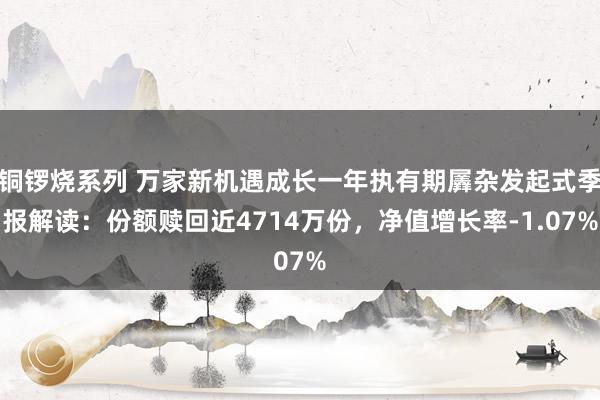 铜锣烧系列 万家新机遇成长一年执有期羼杂发起式季报解读：份额赎回近4714万份，净值增长率-1.07%