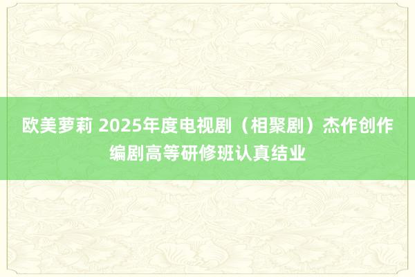 欧美萝莉 2025年度电视剧（相聚剧）杰作创作编剧高等研修班认真结业