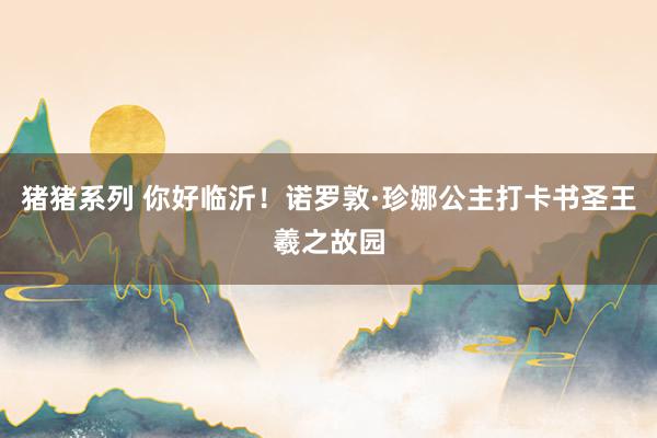 猪猪系列 你好临沂！诺罗敦·珍娜公主打卡书圣王羲之故园