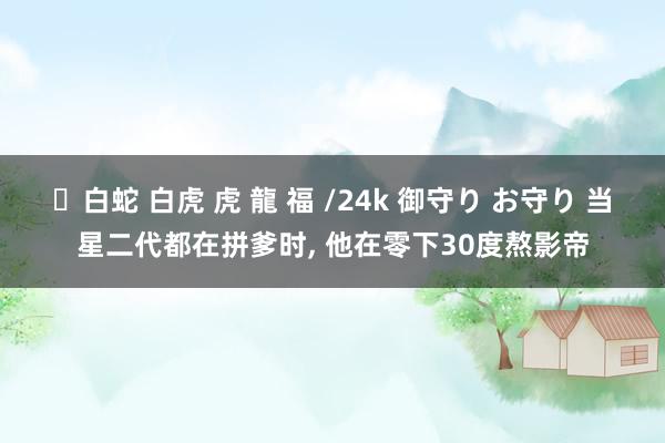 ✨白蛇 白虎 虎 龍 福 /24k 御守り お守り 当星二代都在拼爹时, 他在零下30度熬影帝